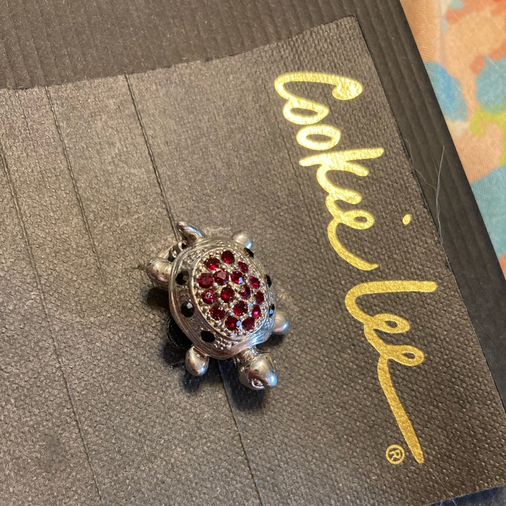 Pin brooch